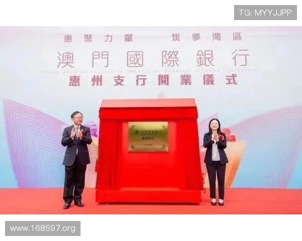 澳门国际银行官方网站全面介绍与最新资讯
