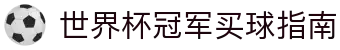 世界杯冠军买球指南 - 2026世界杯竞猜开户